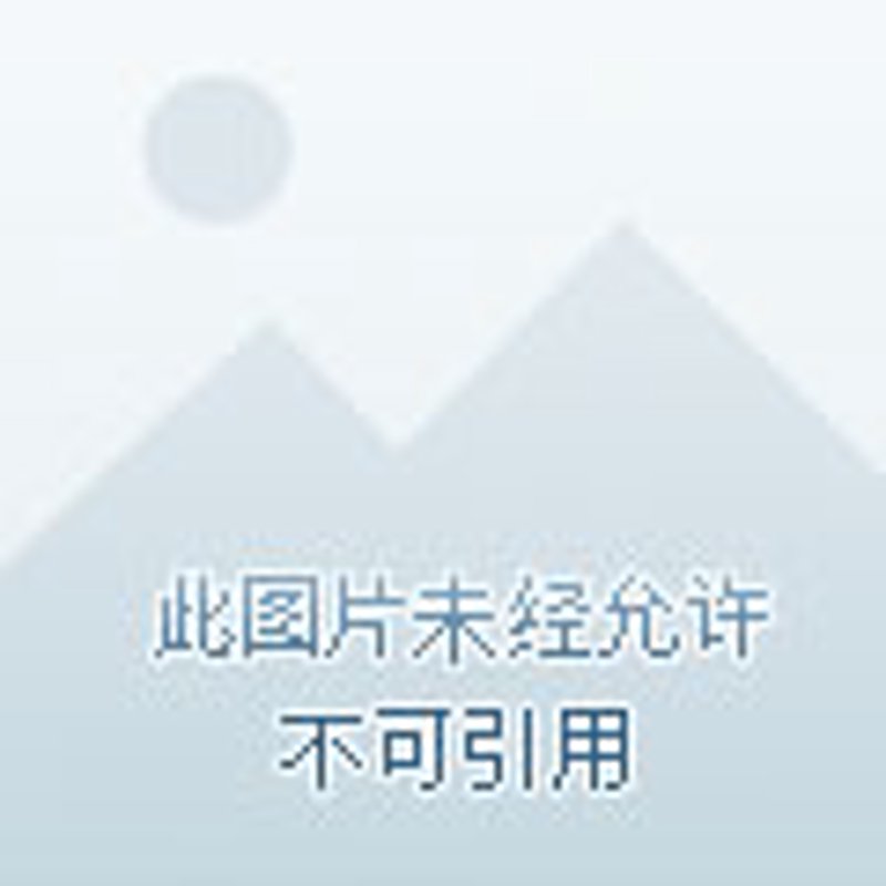医用耗材行业:市场动态与发展趋势